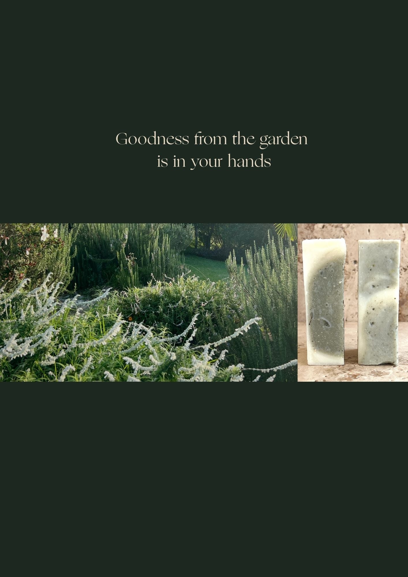 Rosemary Invigorating Soap Bar